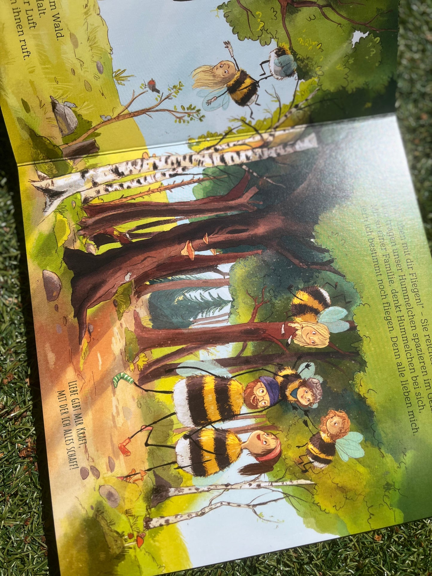"Flieg, Hummelchen, flieg!“ von Judith Beier und Nora Imlau I Papp-Bilderbuch ab 2 Jahren