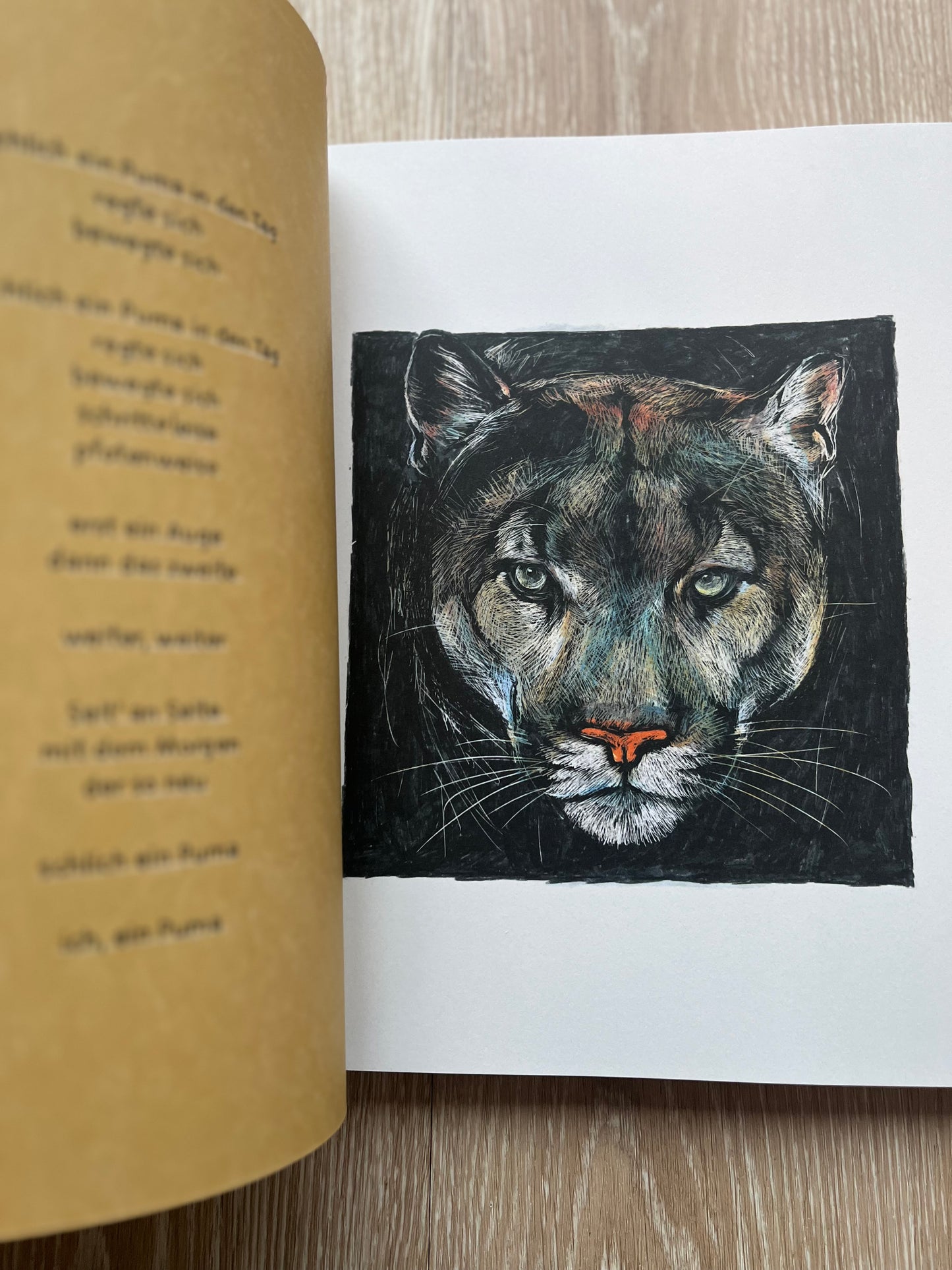 Schlich ein Puma in den Tag von Lena Raubaum und Verena Pavoni