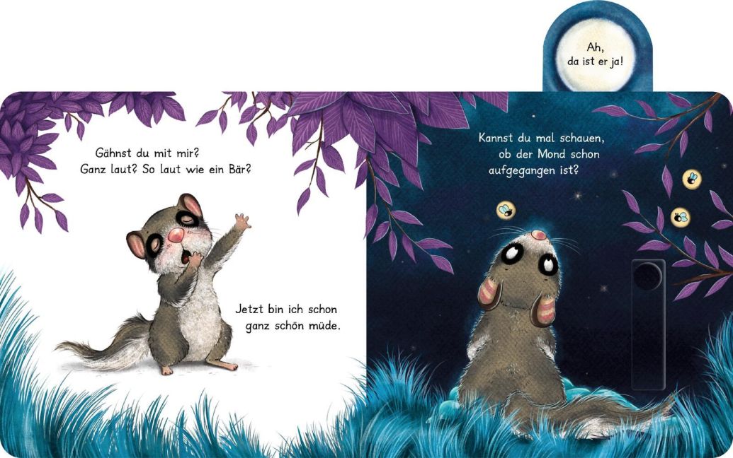 Der kleine Siebenschläfer: Bringst du mich ins Bett? Interaktives Pappbilderbuch mit Schiebeelementen für das gemeinsame Abendritual von Sabine Bohlmann und Kerstin Schoene