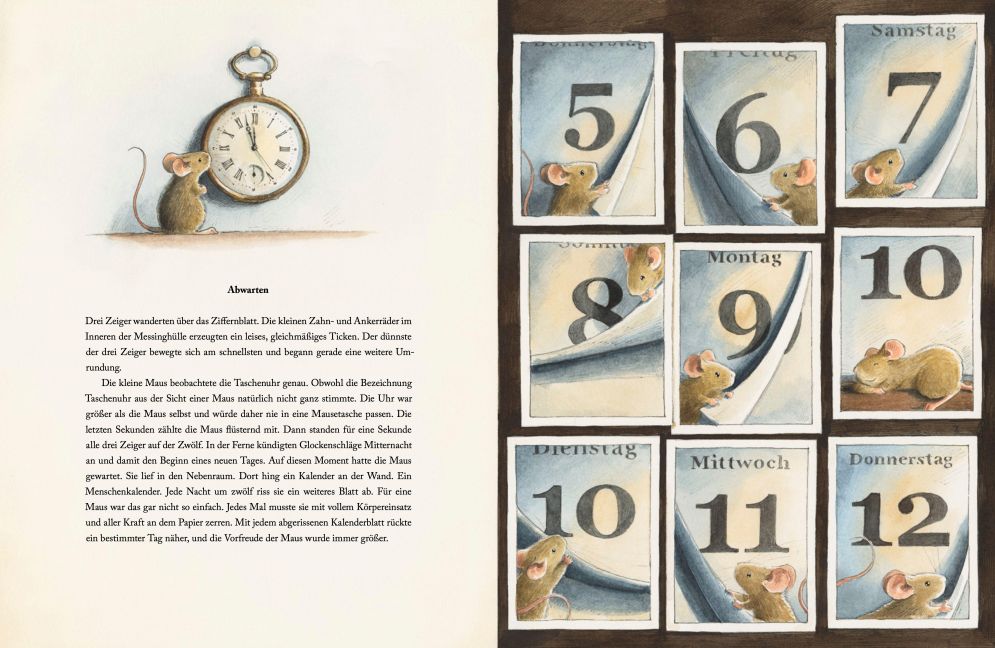 Einstein I Mäuseabenteuer Teil 4 I Kinderbuch ab 5