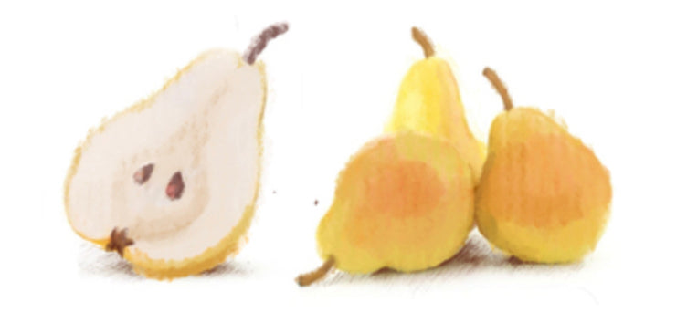 Individuelle Illustrationen erstellen lassen