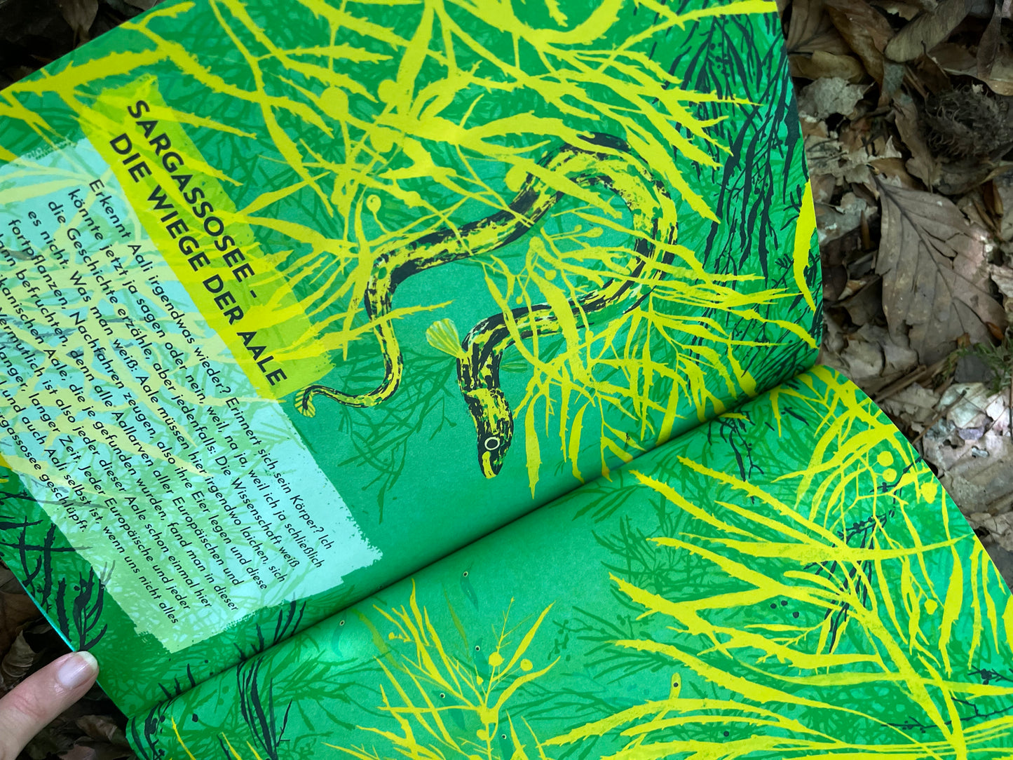 Kinderbuchtipp ab 7 Jahren: Aali muss los von Finn-Ole Heinrich  und Dita Zipfel