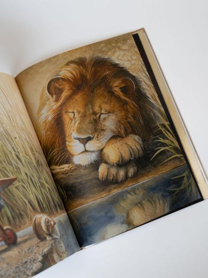 Earhart von Torben Kuhlmann I Mäuseabenteuer Teil 5 I Kinderbuch ab 5 Blick ins Buch