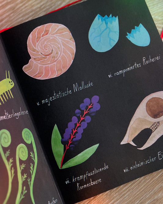 Moor Myrte und das Zaubergarn von Sid Sharp, übersetzt von Alexandra Rak I Graphic Novel ab 8 Jahren