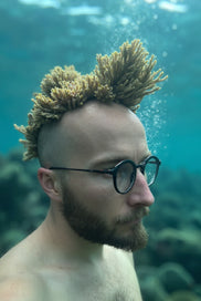 Kinderbuchtipp ab 7 Jahren: Aali muss los von Finn-Ole Heinrich  und Dita Zipfel