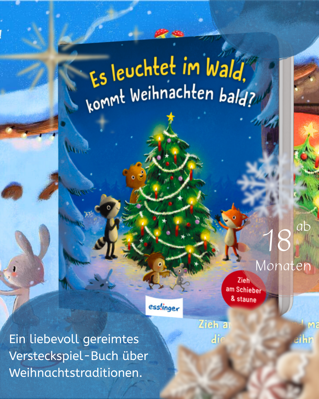 Es leuchtet im Wald, kommt Weihnachten bald? Zauberhaftes Mitmachbuch mit Schiebeelementen von Anja Kiel  und Marina Rachner