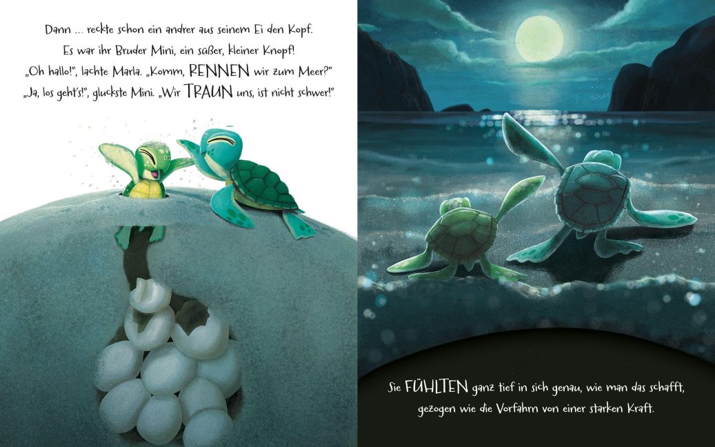 Geh deinen Weg, Schildkröte Ein Bilderbuch für Kinder ab 3 Jahren über Mut und Zusammenhalt von Rachel Bright  und Jim Field