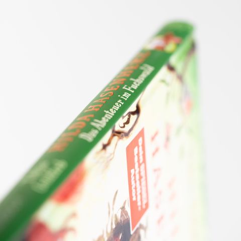 Hilda Hasenherz. Das Abenteuer im Fuchswald SPIEGEL-Bestseller | Vom Autor von »Spekulatius der Weihnachtsdrache« | Tierabenteuer zum Vorlesen | Mutige Heldin | Ab 6 Jahren Band 1 von Tobias Goldfarb  und Verena Körting