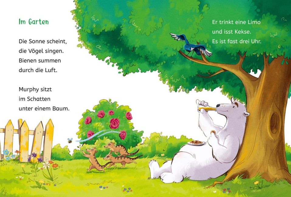 Die Schule der magischen Tiere ermittelt Neuausgabe 1: Der grüne Glibber-Brief Einfach lesen lernen von Margit Auer