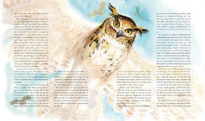 Harry Potter 1 und der Stein der Weisen Schmuckausgabe von J.K. Rowling Kinderbuch-Klassiker ab 10 Jahren über den bekanntesten Zauberer der Welt