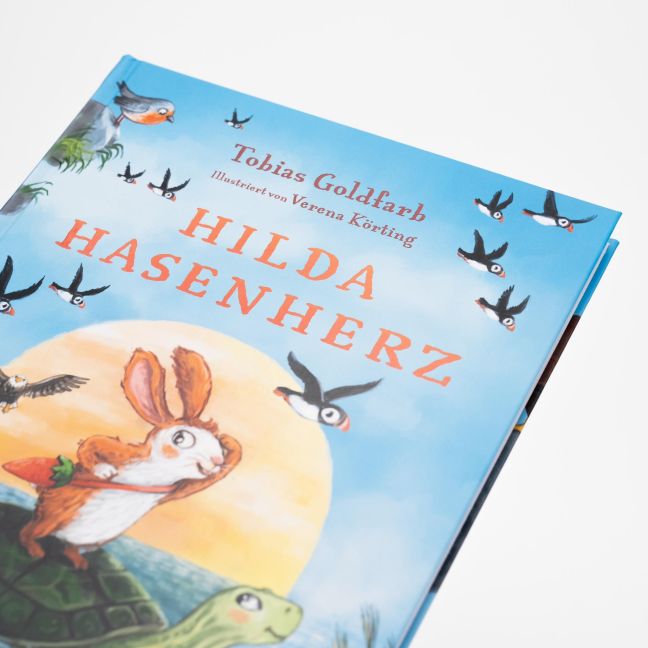 Hilda Hasenherz 2 Das Abenteuer auf der Adlerinsel