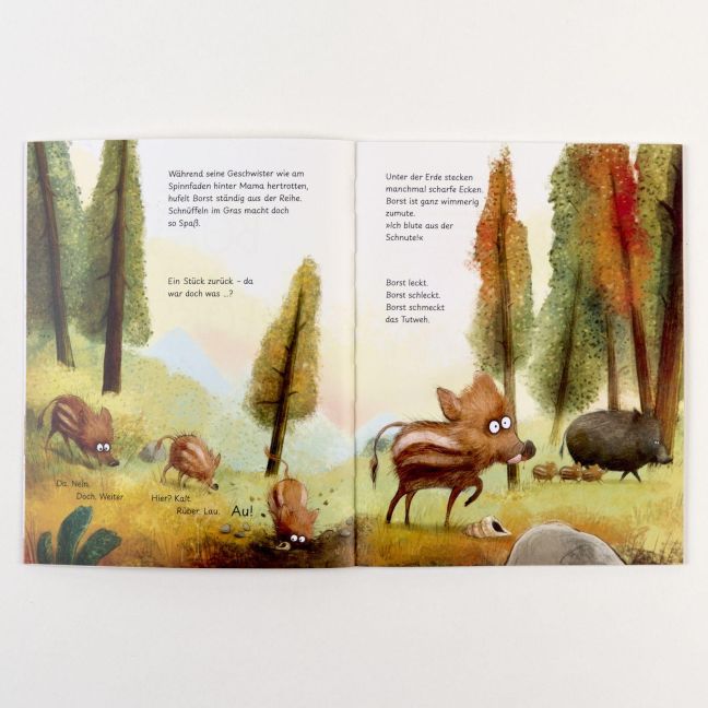 Borst vom Forst I lustiges Bilderbuch ab 4 I Blick ins Buch
