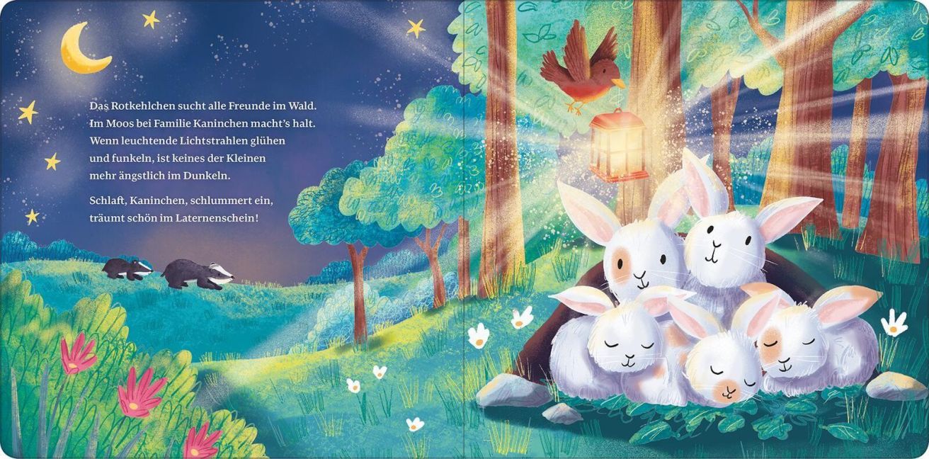 Ich schenk dir ein Licht! Schlaf, Kindlein, schlaf I Nachtlicht-Buch ab 1 Jahr I Blick ins Buch