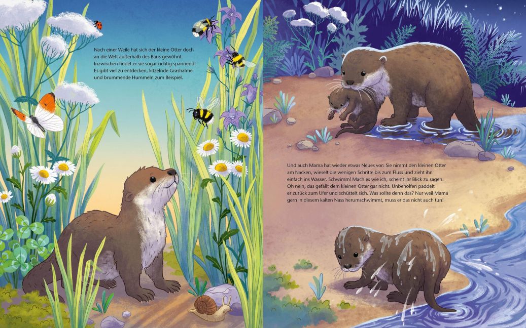 Der kleine Otter – Bilderbuch Natur & Artenschutz ab 4 Jahren - Blick in Buch: Otter lernt schwimmen