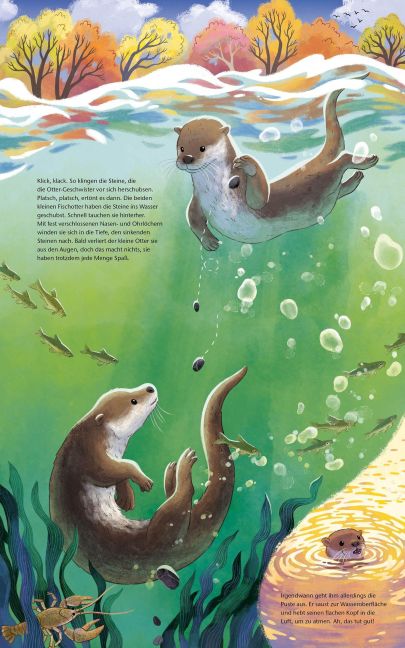 Der kleine Otter – Bilderbuch Natur & Artenschutz ab 4 Jahren - Blick in Buch: Otter und ihre Steine