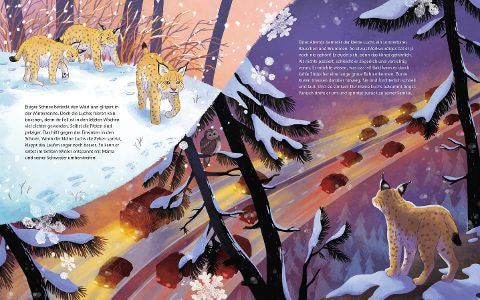 Der kleine Luchs – Bilderbuch Waldtiere ab 4 | Sachbilderbuch Luchs - Blick im Buch: Luchse im Schnee