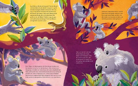 Der kleine Koala – Bilderbuch Australien ab 4 | Sachbilderbuch Koala - Blick in Buch: Koalas kuscheln