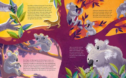 Der kleine Koala – Bilderbuch Australien ab 4 | Sachbilderbuch Koala - Blick in Buch: Koalas kuscheln
