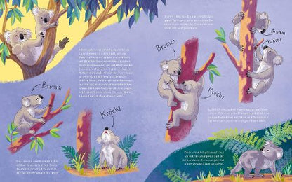 Der kleine Koala – Bilderbuch Australien ab 4 | Sachbilderbuch Koala - Blick in Buch: Sprache der Koalas