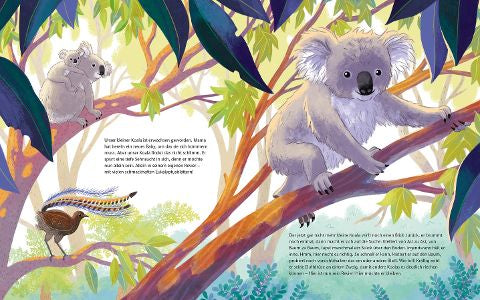 Der kleine Koala – Bilderbuch Australien ab 4 | Sachbilderbuch Koala - Blick in Buch: im Eukalyptus