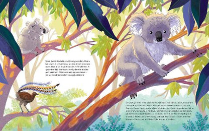 Der kleine Koala – Bilderbuch Australien ab 4 | Sachbilderbuch Koala - Blick in Buch: im Eukalyptus