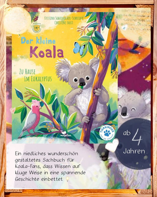 Der kleine Koala – Bilderbuch Australien ab 4 | Sachbilderbuch Koala - Koala-Wissen