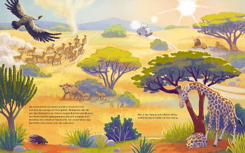 Die kleine Giraffe – Bilderbuch Savanne ab 4 | Sachbilderbuch Giraffe I Blick in Buch: aufwachsen