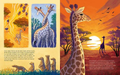 Die kleine Giraffe – Bilderbuch Savanne ab 4 | Sachbilderbuch Giraffe I Blick in Buch: Sozialverhalten