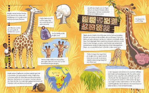 Die kleine Giraffe – Bilderbuch Savanne ab 4 | Sachbilderbuch Giraffe I Blick in Buch: Facts