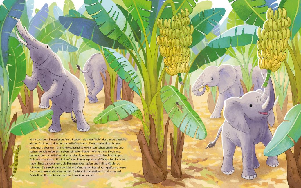Der kleine Waldelefant – Bilderbuch Afrika ab 4 | Sachbilderbuch Elefant I Blick in Buch: Wie Elefanten fressen