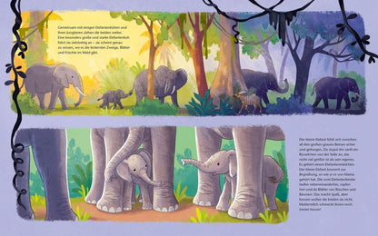 Der kleine Waldelefant – Bilderbuch Afrika ab 4 | Sachbilderbuch Elefant I Blick in Buch: Wie Elefantenkinder aufwachsen