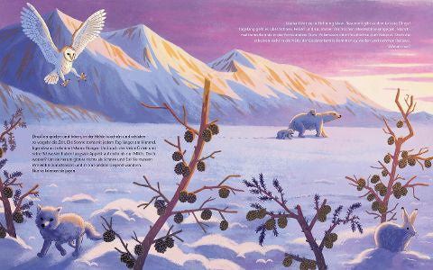 Der kleine Polarbär – Bilderbuch Arktis ab 4 | Juliane empfiehlt i Blick in Buch: Eisbärfamilie wandert durch den Schnee
