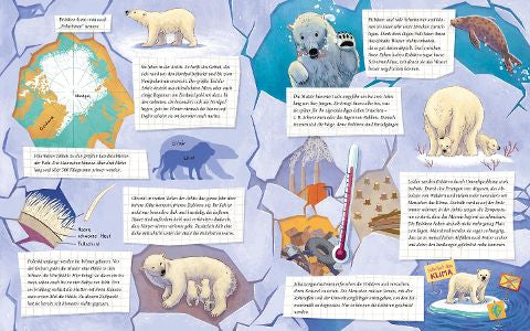 Der kleine Polarbär – Bilderbuch Arktis ab 4 | Juliane empfiehlt i Blick in Buch: Wissenswertes über Eisbären