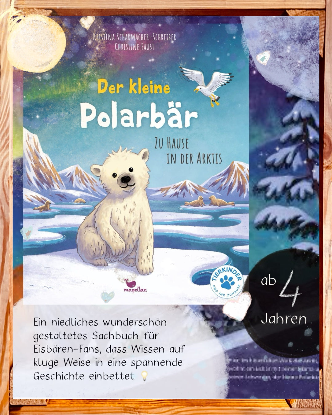 Der kleine Polarbär – Bilderbuch Arktis ab 4 | Juliane empfiehlt I Sachwissen für Kinder
