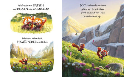 Kleine Pandas, großes Versprechen – Bilderbuch ab 3 Jahren | Blick in Buch: Rote Pandas spielen