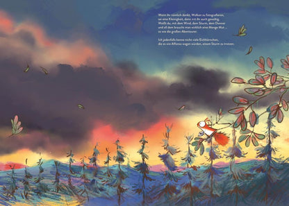 Alfonso und die Wolken – Bilderbuch ab 5 | Juliane empfiehlt I Blick in Buch: Eichhörnchen Afonso fotografiert einen Sturm