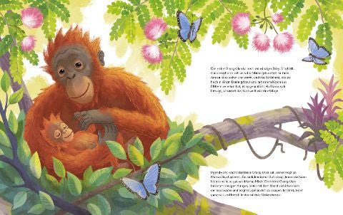 Orang-Utan I Bilderbuch ab 4 – Juliane empfiehlt I Mama-Affe kümmert sich um das Orang-Utan-Baby