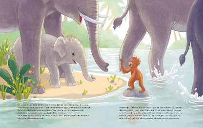 Orang-Utan I Bilderbuch ab 4 – Juliane empfiehlt I Ein Orang-Utan-Kind trifft auf ein Elefanten-Junges