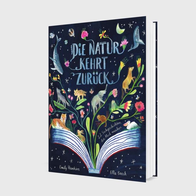 Die Natur kehrt zurück | Sachbuch ab 5 über Naturschutz I 96 Seiten