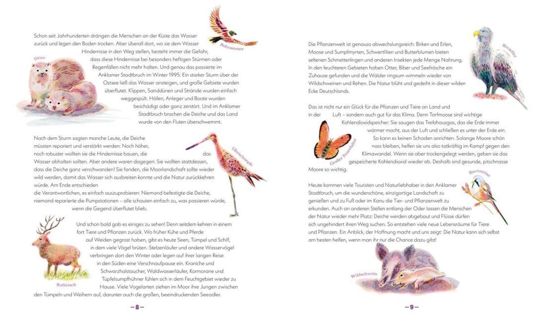Die Natur kehrt zurück | Sachbuch ab 5 über Naturschutz I Moorlandschaft anstelle von Deichen