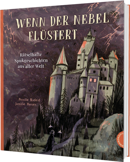 Wenn der Nebel flüstert – Gruselbuch ab 12 | Cover