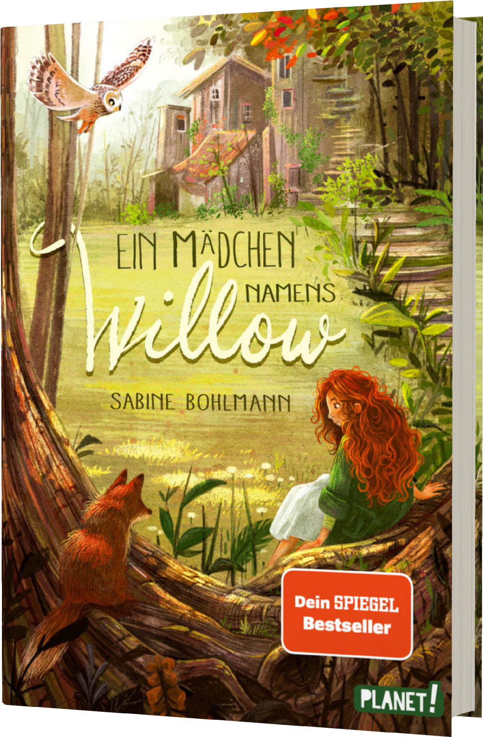 Ein Mädchen namens Willow Kinderbuch ab 10 Jahren über einen magischen Wald und die Liebe zur Natur Band 1 von Sabine Bohlmann und Simona Ceccarelli