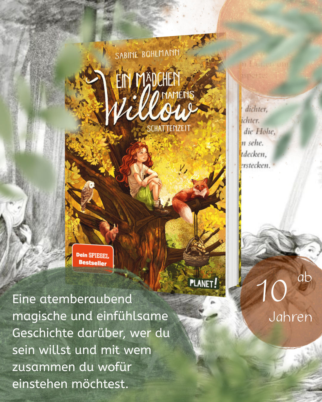 Ein Mädchen namens Willow 5: Schattenzeit Für alle, die den Wald lieben Band 5 von Sabine Bohlmann und Simona Ceccarelli