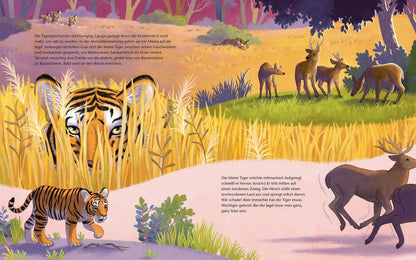 Der kleine Tiger - Zu Hause in Indien Bilderbuch mit erstem Sachwissen für Kinder ab 4 Jahren von Kristina Scharmacher-Schreiber  und Christine Faust