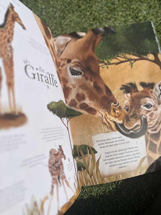 "Ich hab dich tierisch lieb" von Jessie Jans I Bilderbuchtipps ab 5 Jahren