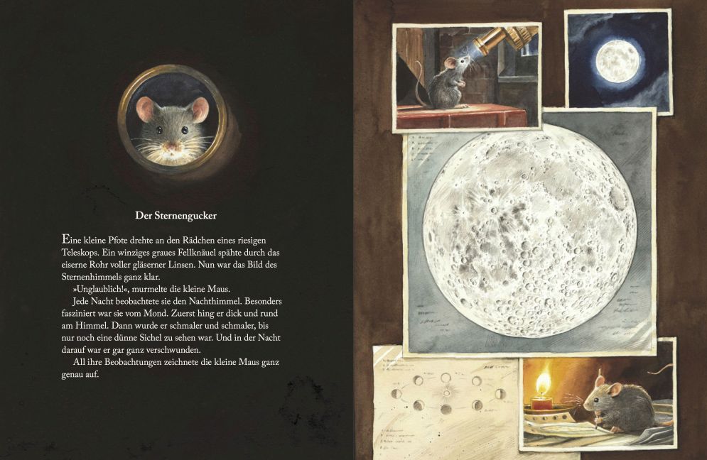 Armstrong I 2. Teil der Mäuseabenteuer I Kinderbuch ab 6