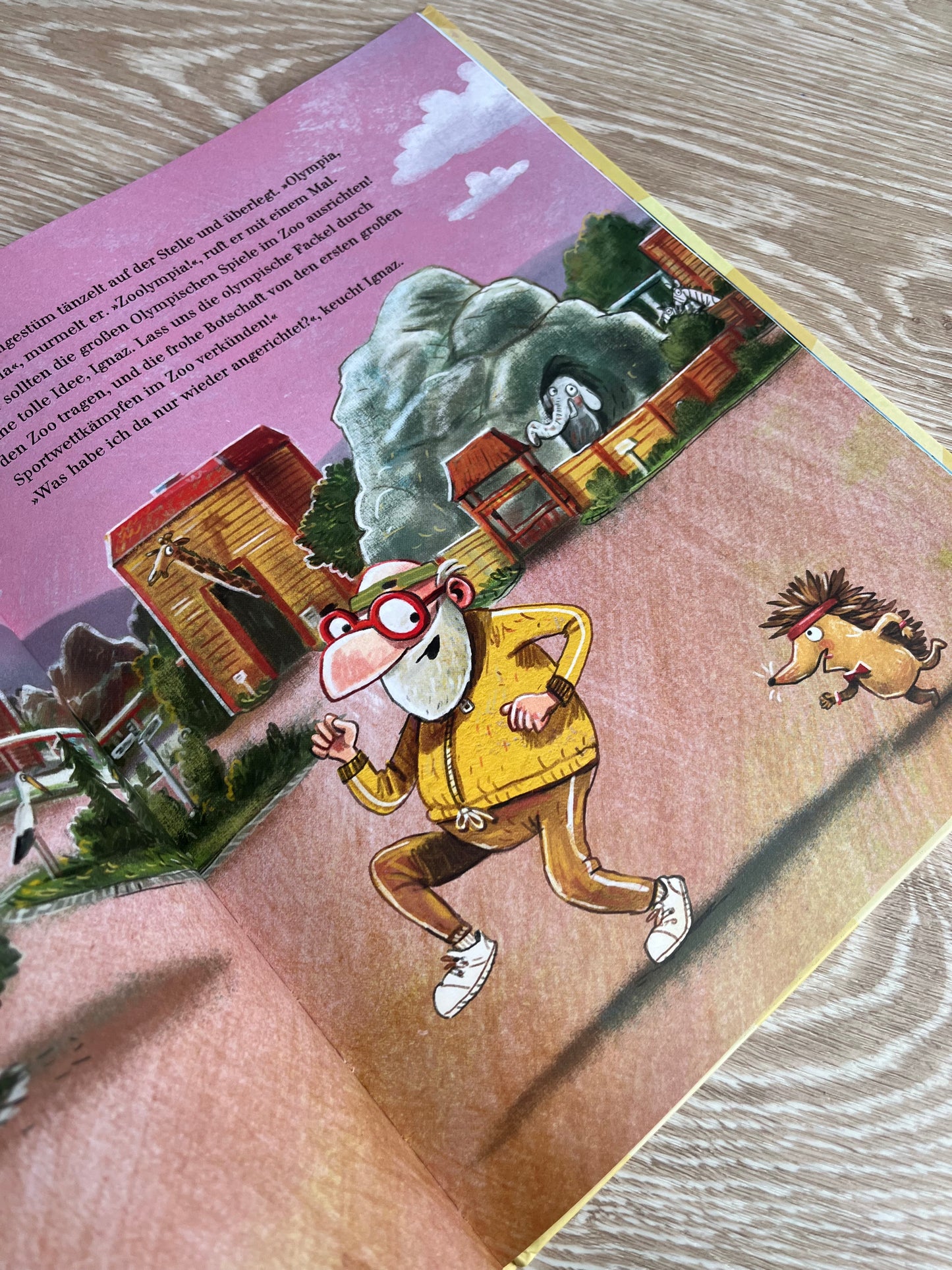 "DIE GROSSEN SPIELE IM ZOO" VON SOPHIE SCHOENWALD und Günther Jakobs EIN WETTKAMPF VOLLER SPASS UND FAIRNESS I Bilderbuchtipp für Kinder ab 4 Jahren