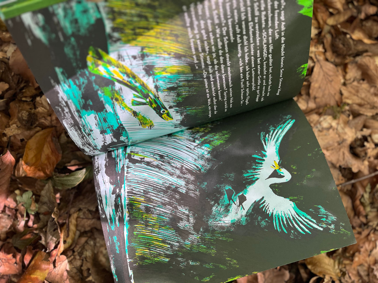 Kinderbuchtipp ab 7 Jahren: Aali muss los von Finn-Ole Heinrich  und Dita Zipfel