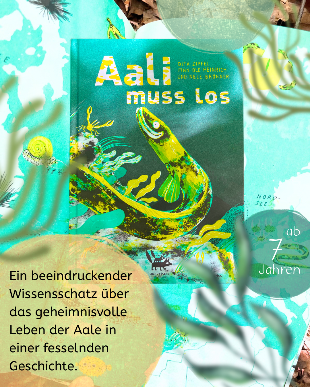 Kinderbuchtipp ab 7 Jahren: Aali muss los von Finn-Ole Heinrich  und Dita Zipfel
